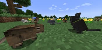 Vanilla Degus screenshot