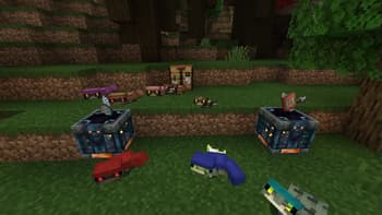 FinzWild:Friends screenshot