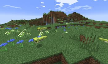 FinzWild:Friends screenshot