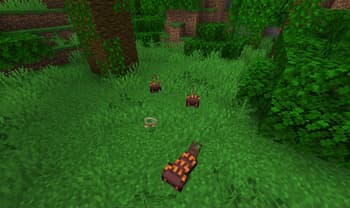 FinzWild:Friends screenshot
