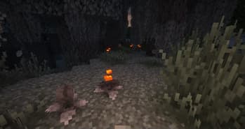 Wild Vanilla - Better plants and flowers screenshot
