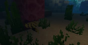 Fish and Bizz screenshot