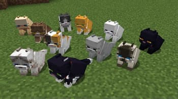 Fat Cat screenshot