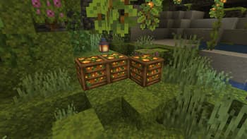 Crate Delight screenshot