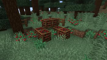 Crate Delight screenshot
