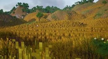 Complete And Total Terrain Overhaul (CATTO) screenshot
