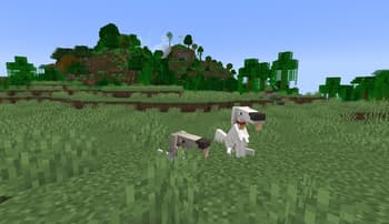 Puppy Paws screenshot