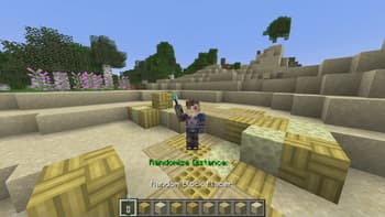 Random Block Placer screenshot