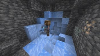 Random Block Placer screenshot