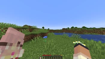 Customizable Totem screenshot