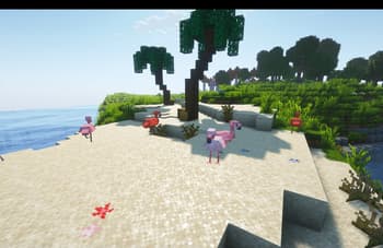[Let's Do] WilderNature screenshot