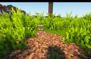 [Let's Do] WilderNature screenshot