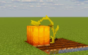 Pumpkins Enhanced screenshot