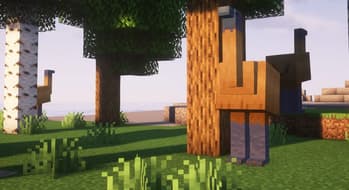 Collector's Caravan screenshot