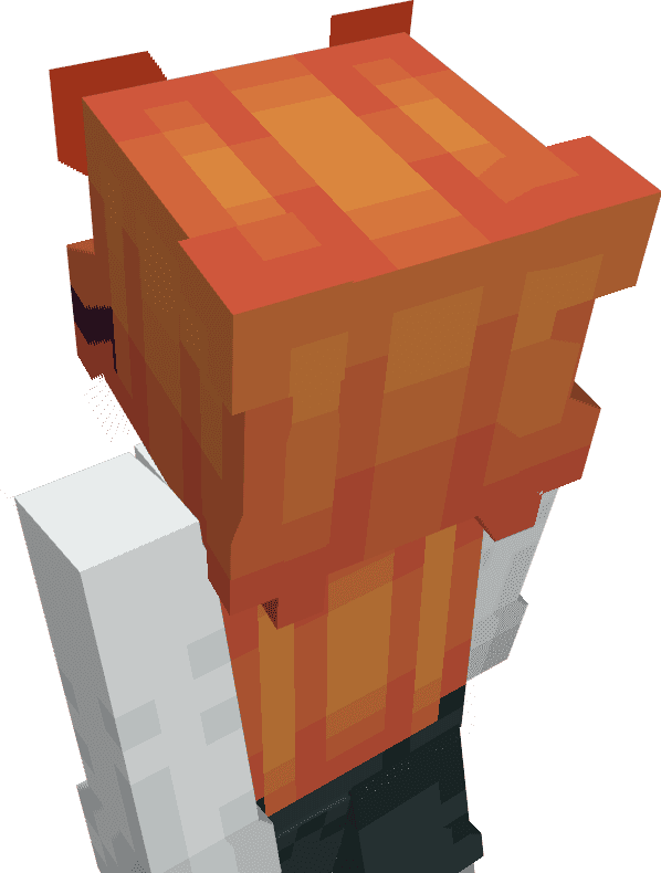 Skins3D but not cubic screenshot