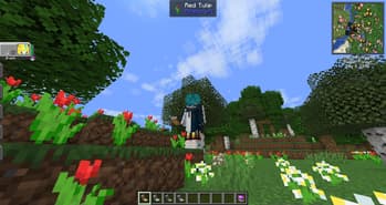 Cobblemon 3D Pokenavs screenshot