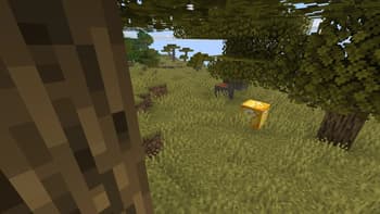 Lucky Blocks World Add-on screenshot