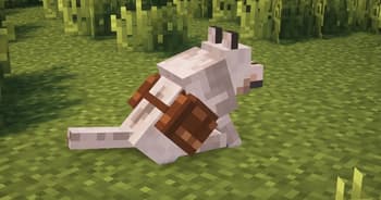 Saddlebag – Wolf Bag, Pet Backpack & Companion Utility screenshot