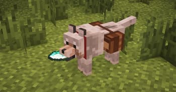 Saddlebag – Wolf Bag, Pet Backpack & Companion Utility screenshot