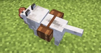 Saddlebag – Wolf Bag, Pet Backpack & Companion Utility screenshot