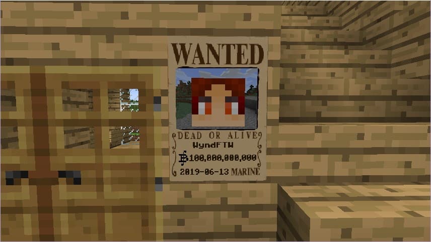 Mine Mine no Mi screenshot