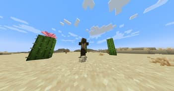 Cinch's Sandy Catacombs screenshot