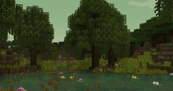 Naturalist Biomes Java screenshot