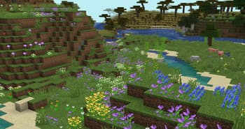 Naturalist Biomes Java screenshot