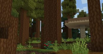 Naturalist Biomes Java screenshot