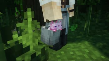 Gray's 3D items screenshot