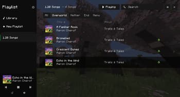 Playlist screenshot