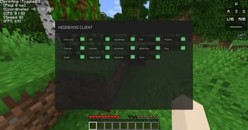 Hedgehog Client screenshot