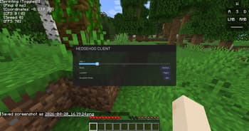 Hedgehog Client screenshot