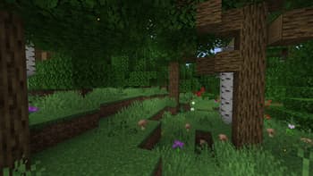 Wilder Wild screenshot