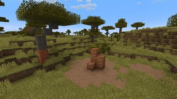Wilder Wild screenshot