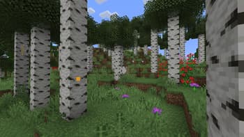 Wilder Wild screenshot