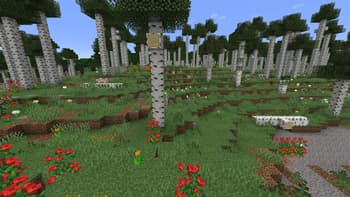 Wilder Wild screenshot