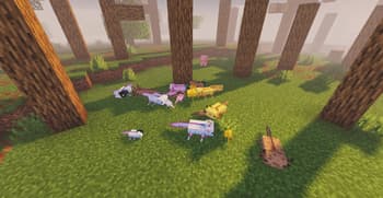 ChickenCow screenshot