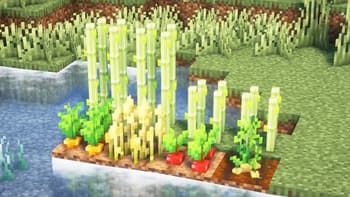 DB's Minecraft PLUS screenshot