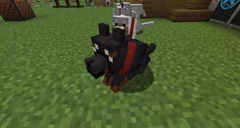 HandOfPack screenshot