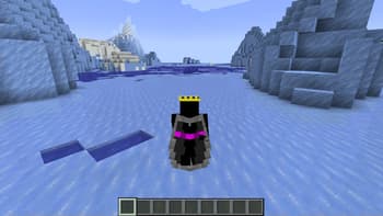 Ender Elytra screenshot