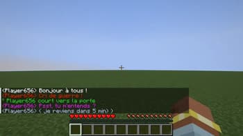 Roleplay chat screenshot