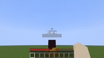 Roleplay chat screenshot