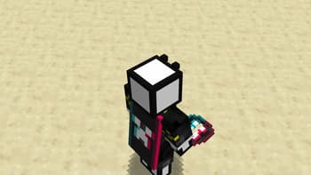 Tik Tok elytra item cape screenshot