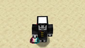 Tik Tok elytra item cape screenshot