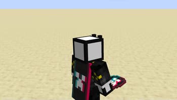 Tik Tok elytra item cape screenshot