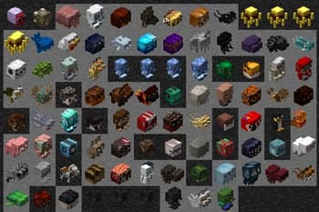 PacksHQ screenshot