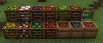 Brazilian Delight screenshot