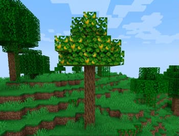 Brazilian Delight screenshot