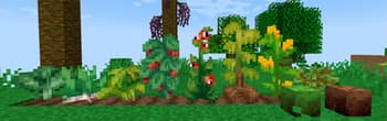 Brazilian Delight screenshot